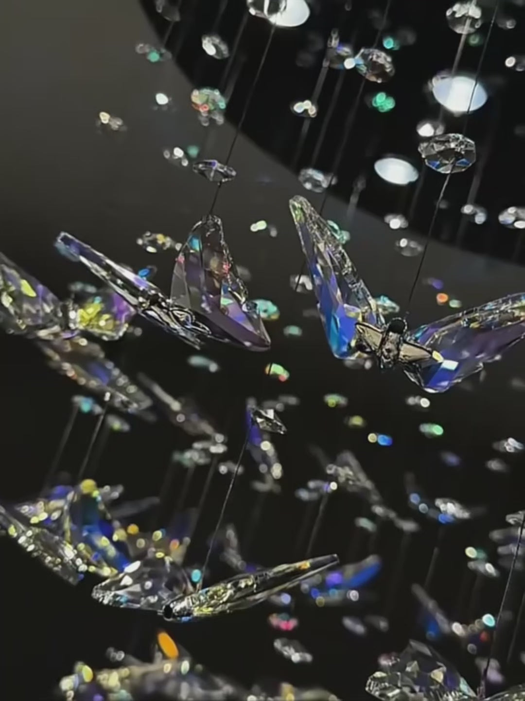 Flyn Butterfly Chandelier Video