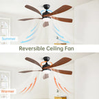 Lanai 52 Inch 5-Blade Ceiling Fan Chandelier size dimensions and specifications