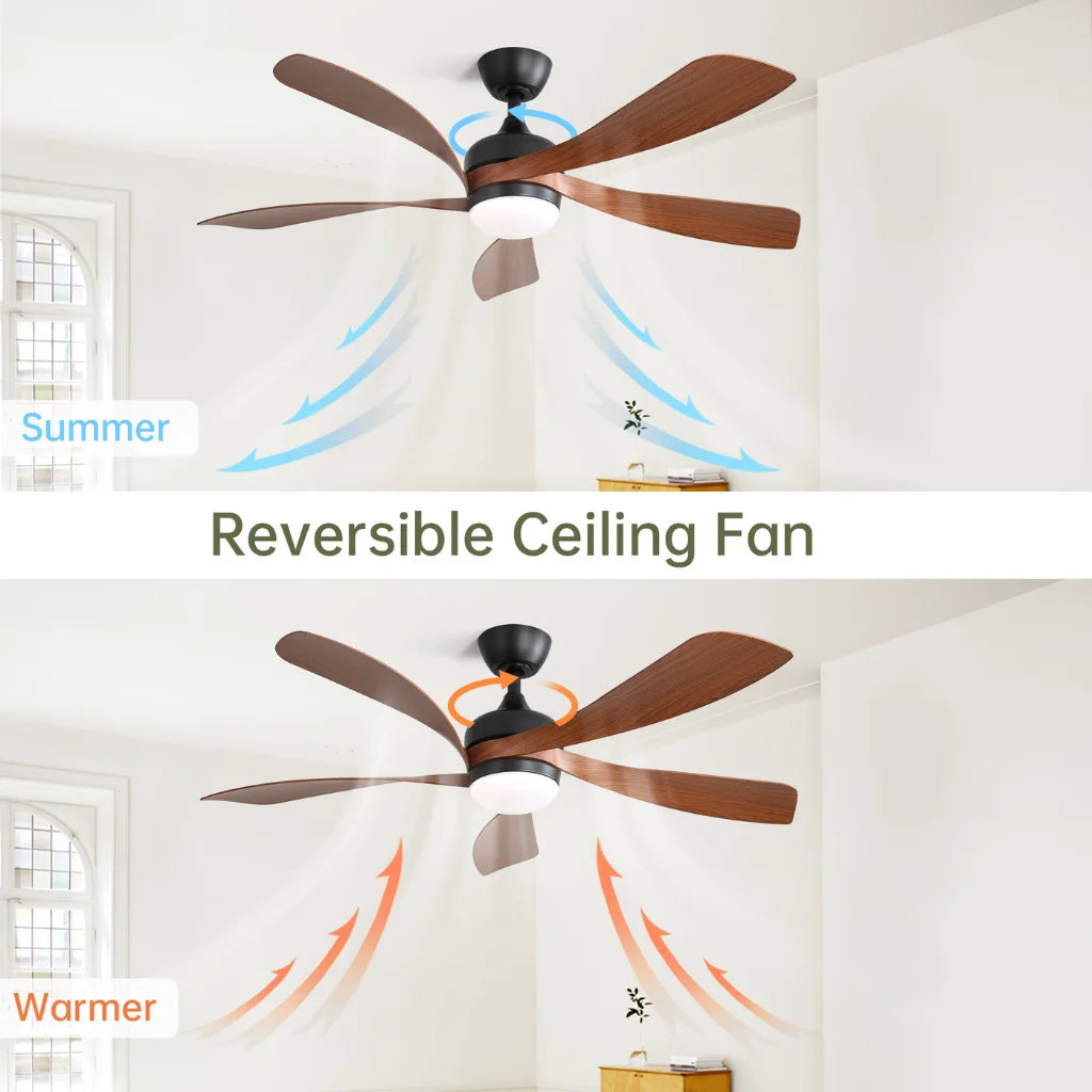 Lanai 52 Inch 5-Blade Ceiling Fan Chandelier size dimensions and specifications