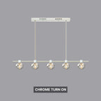 dining room light fixtures​