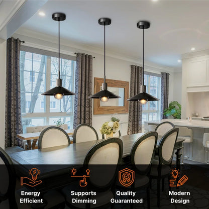 Black and Gold Pendant Light