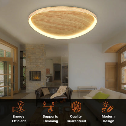 Contemporary Led Ceiling Lights