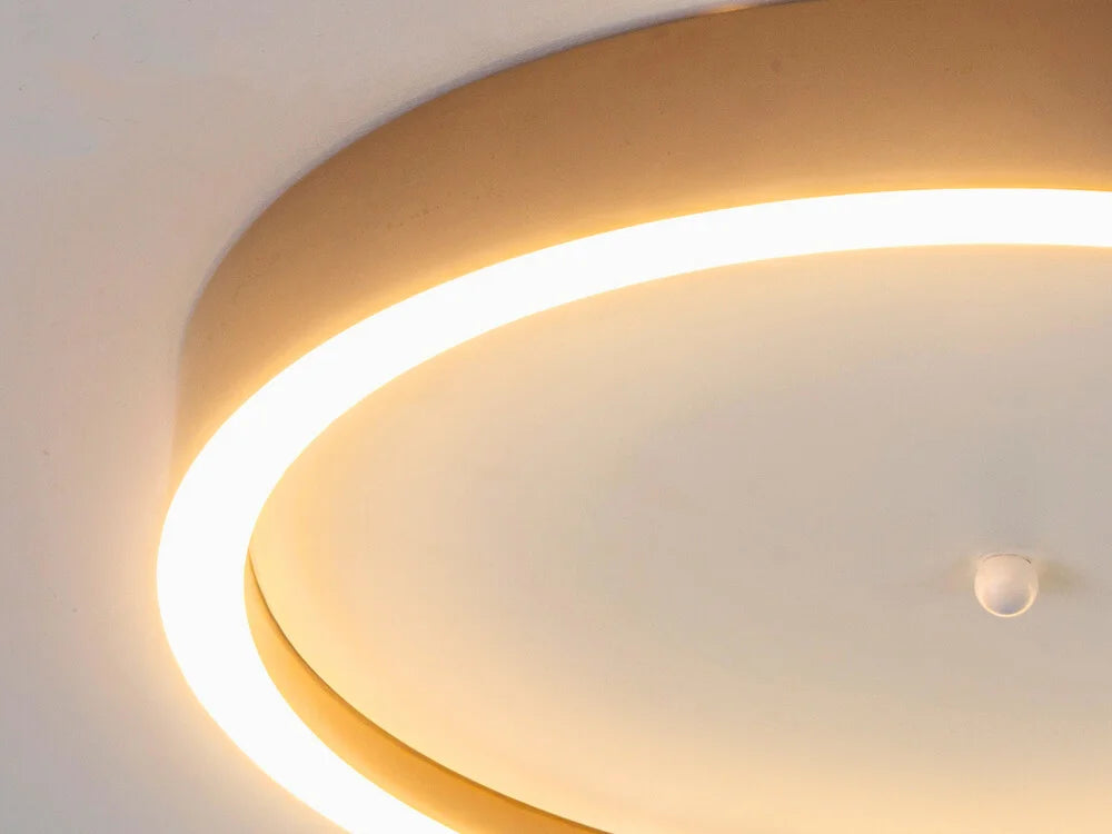 LED flush mount ceiling light