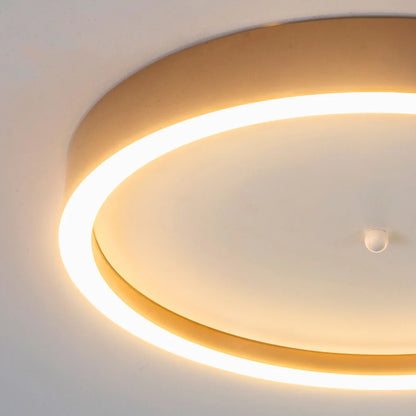 LED flush mount ceiling light
