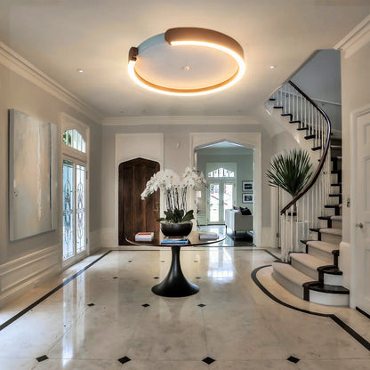 LED flush mount ceiling light