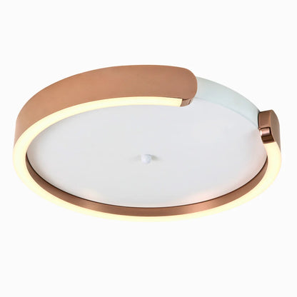LED flush mount ceiling light