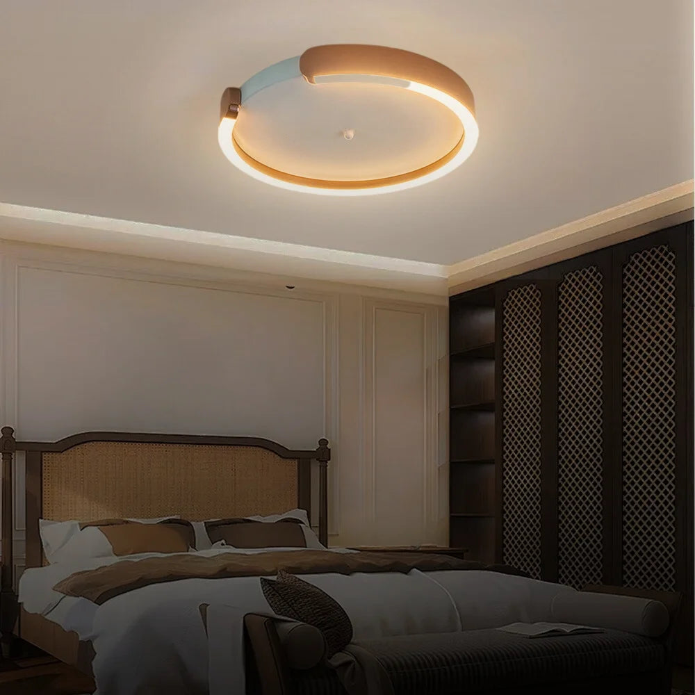 LED flush mount ceiling light