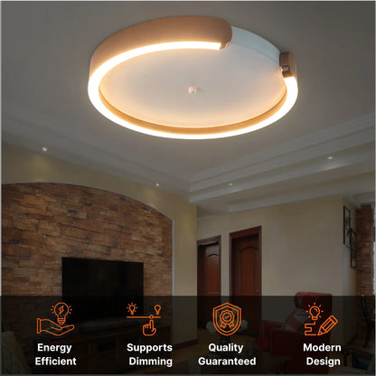 LED flush mount ceiling light