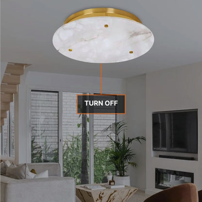 Zila Ceiling Light