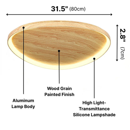brief led ceiling light