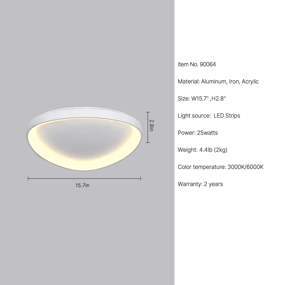 ceiling fan with lights