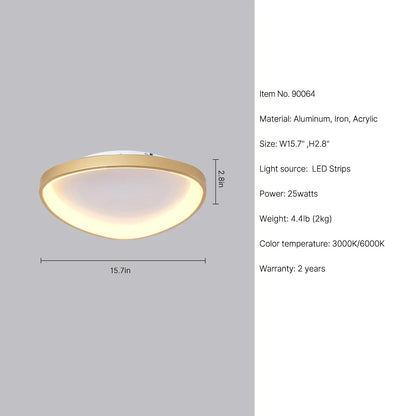 ceiling light fixture