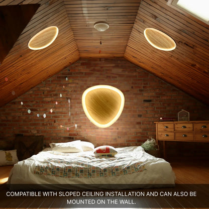 modern led ceiling lamp
