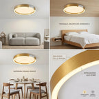 YOOGEE premium ceiling light for sophisticated American home interiors