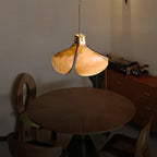 single pendant light fixture